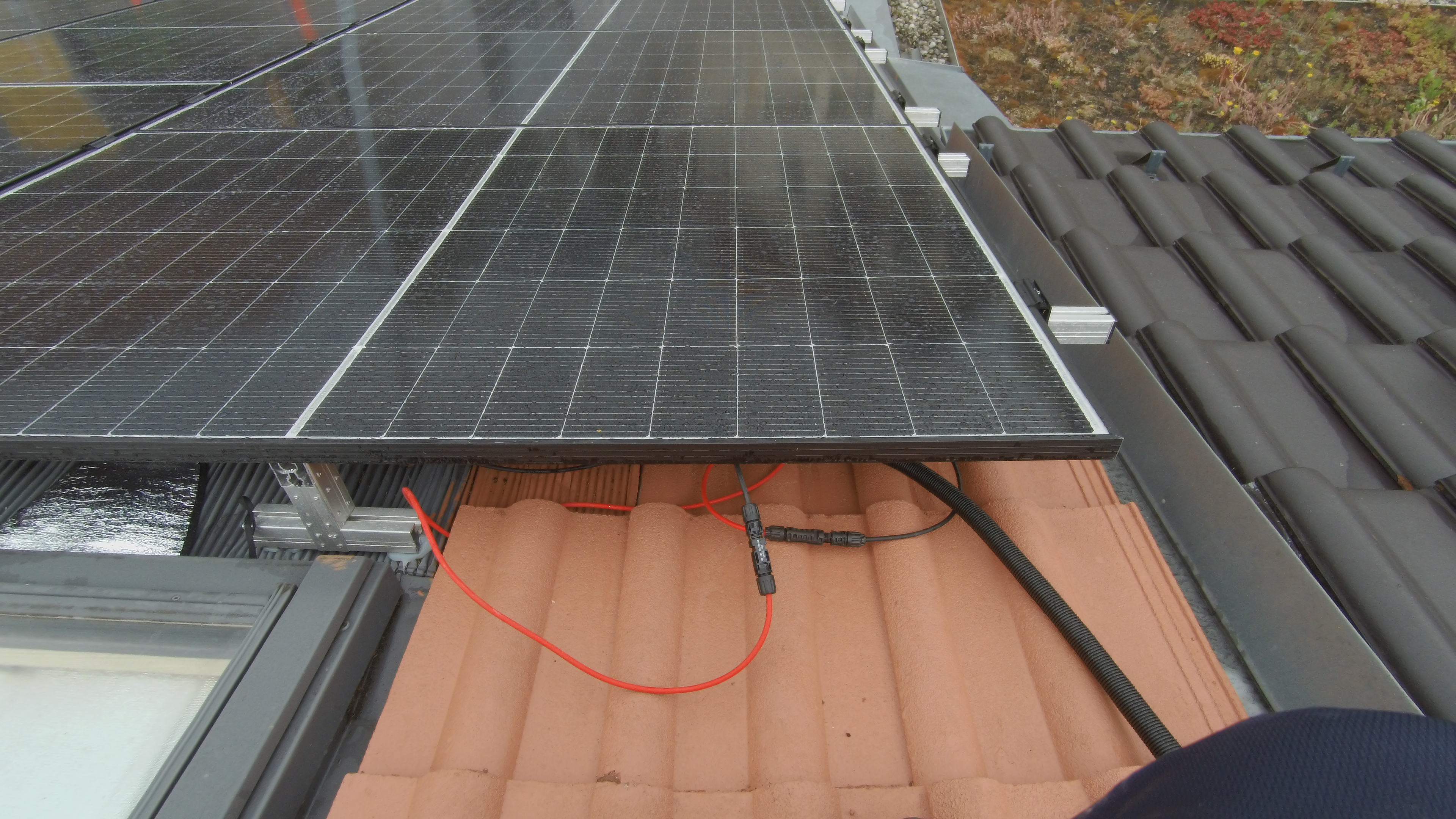 String cable extension, Stäubli MC4; string to module plugs: Stäubli MC4-evo2