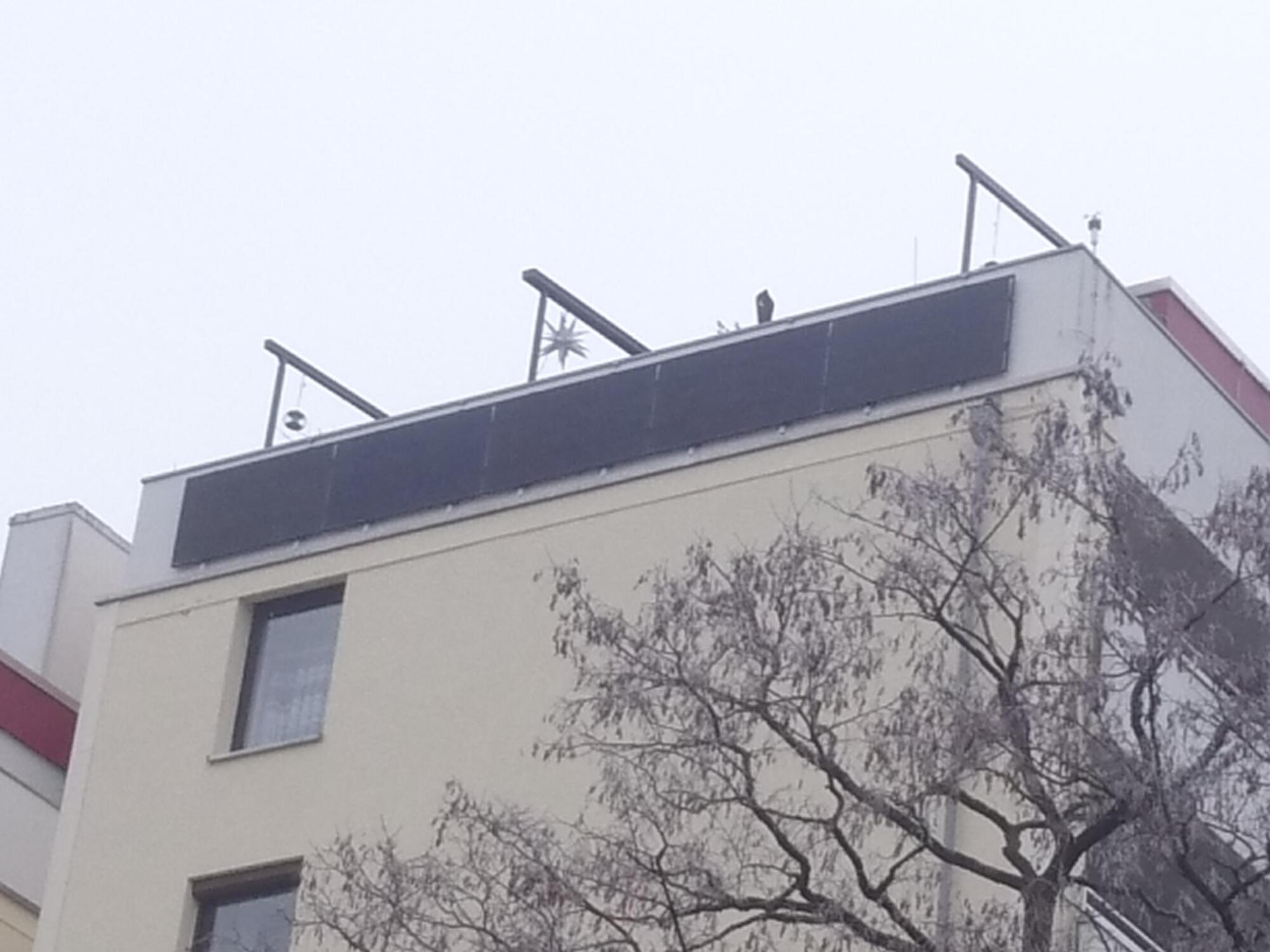 modules, ground view